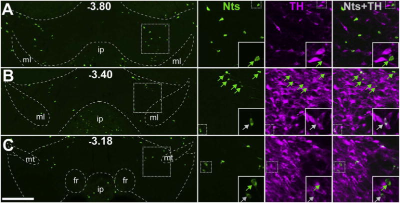 Fig. 13