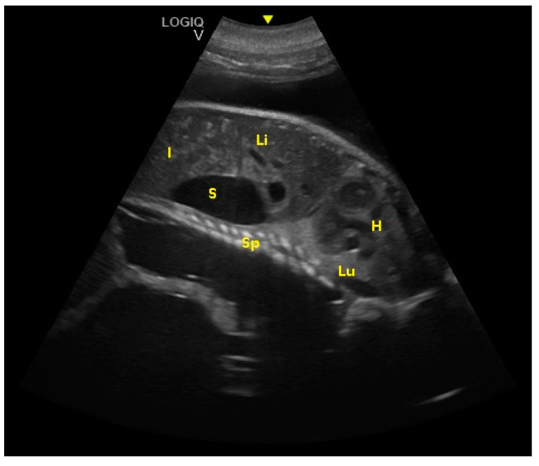 Figure 7