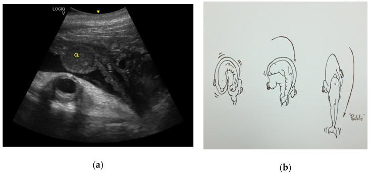 Figure 12