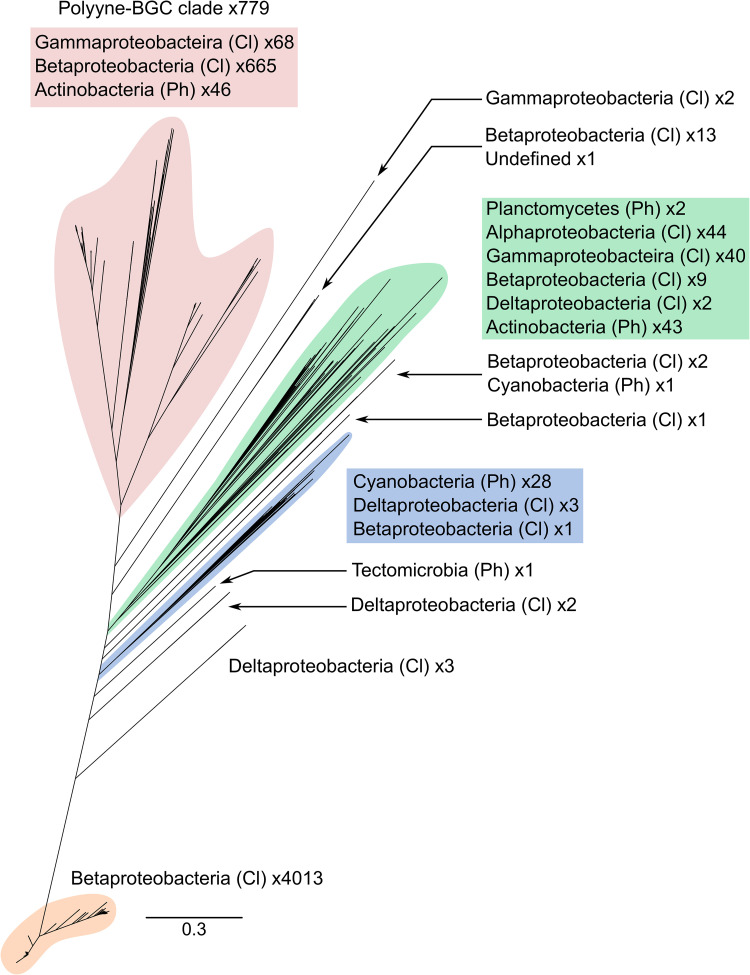 FIG 2