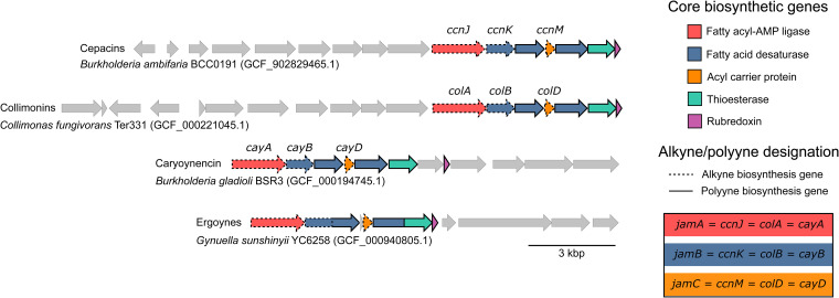 FIG 3