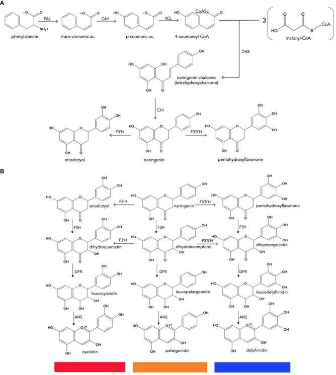 Figure 3
