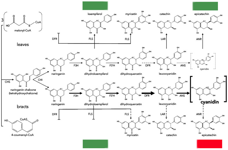 Figure 4
