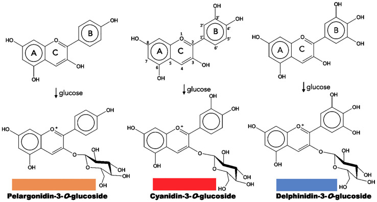 Figure 2