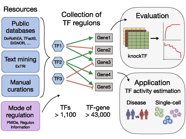 Graphical Abstract