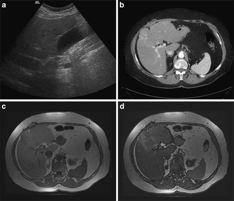 Fig. 5