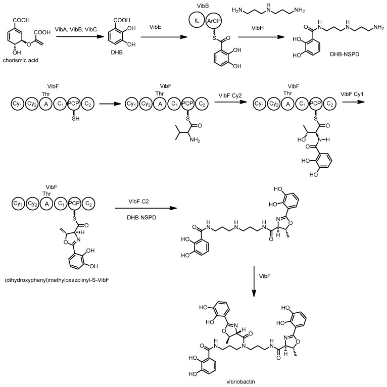 Scheme 9