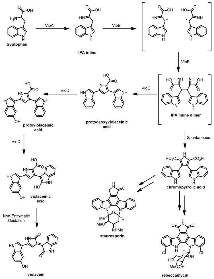 Scheme 7