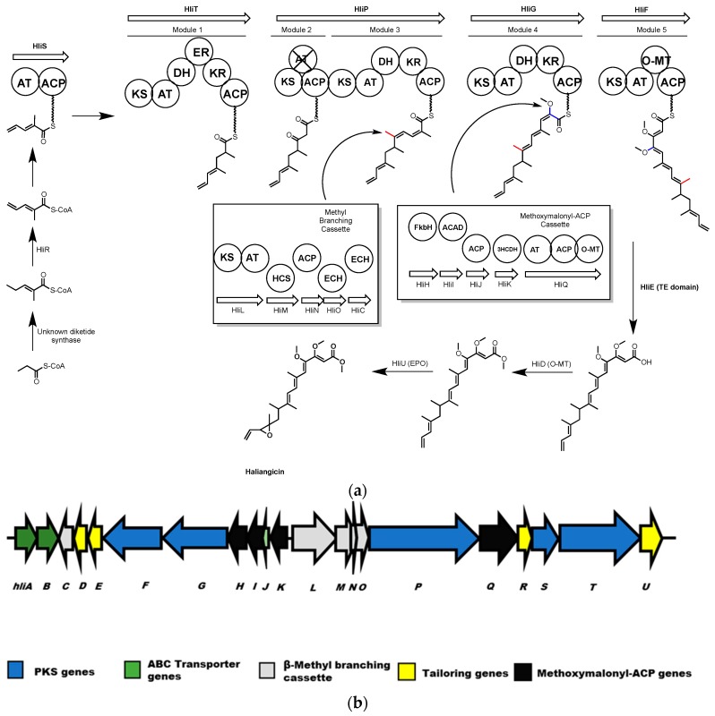 Scheme 11