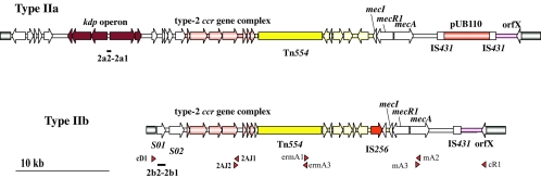 FIG. 1.