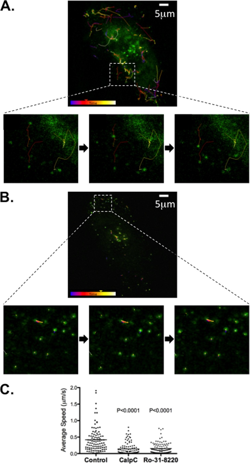 FIGURE 3.