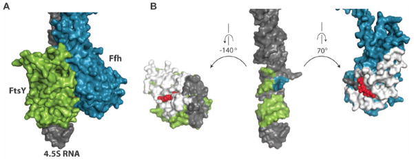 Fig. 3