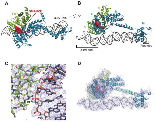 Fig. 1