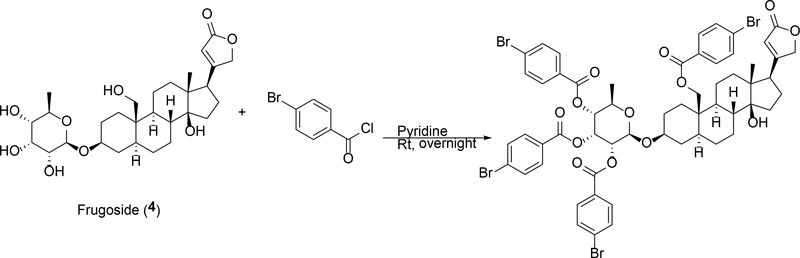 Scheme 1.