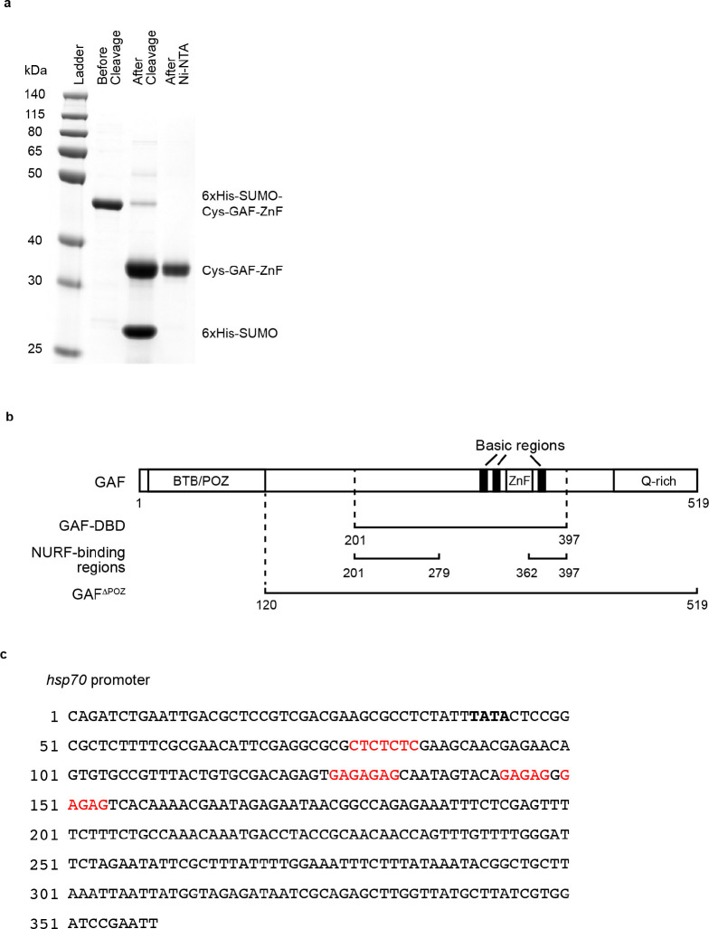 Extended Data Figure 2.