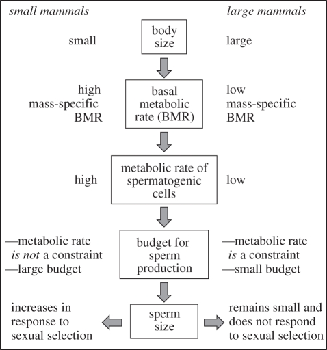 Figure 1.