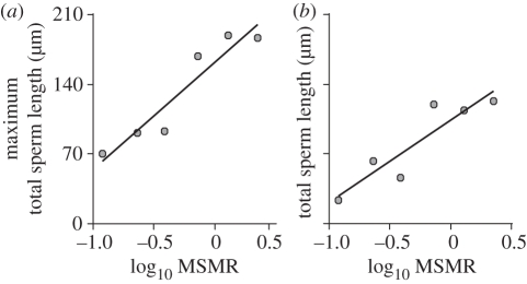 Figure 4.