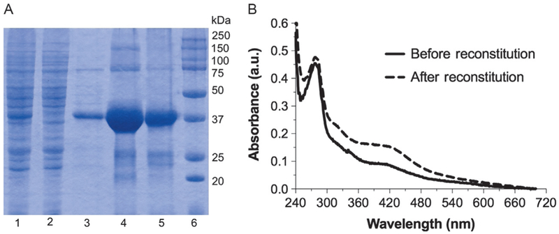 Fig. 4