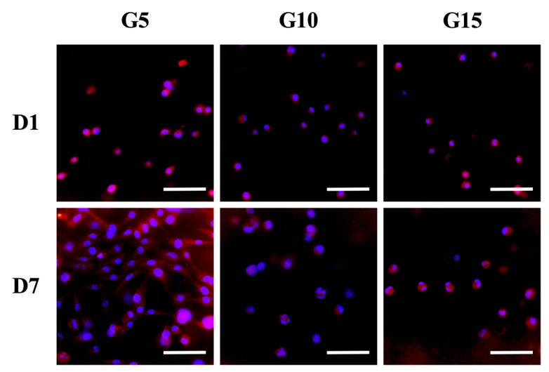 Figure 7