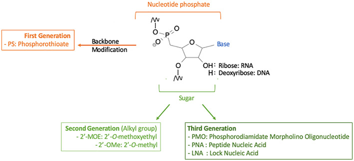 FIGURE 3