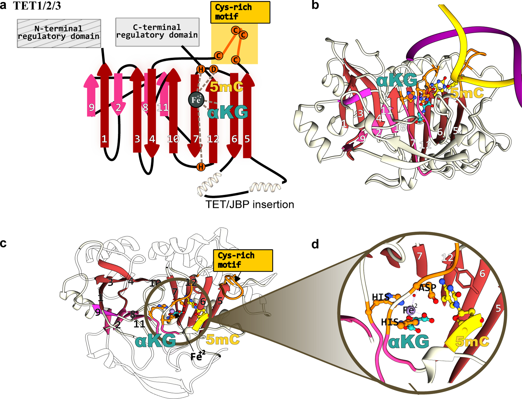 Figure 13