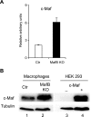 FIG. 6.