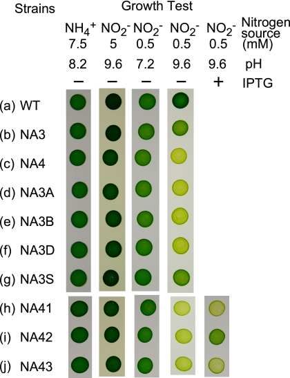 FIG. 2.