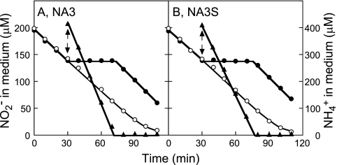 FIG. 6.