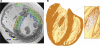 Fig. 5.