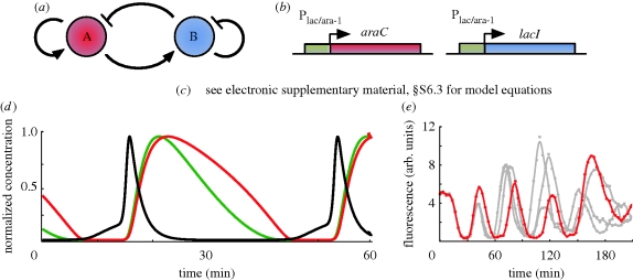 Figure 7.