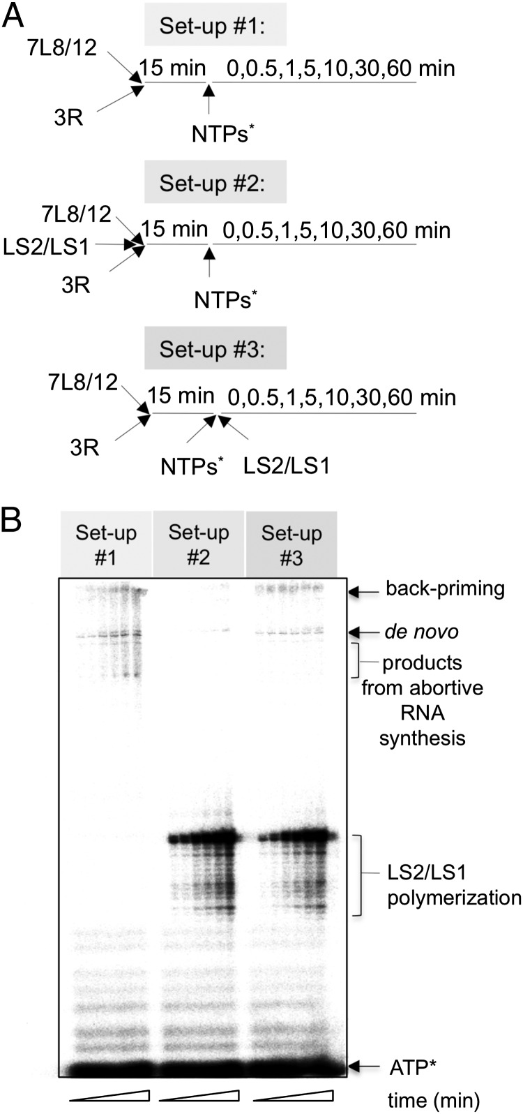 Fig. 3.