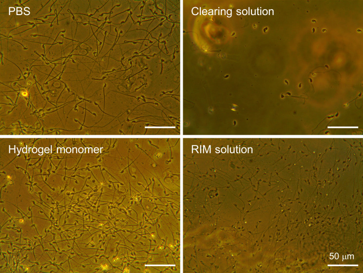 Figure 3—figure supplement 2.