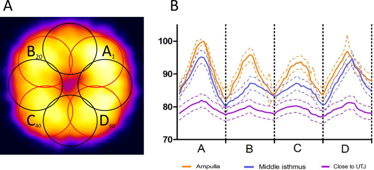 Figure 6—figure supplement 1.