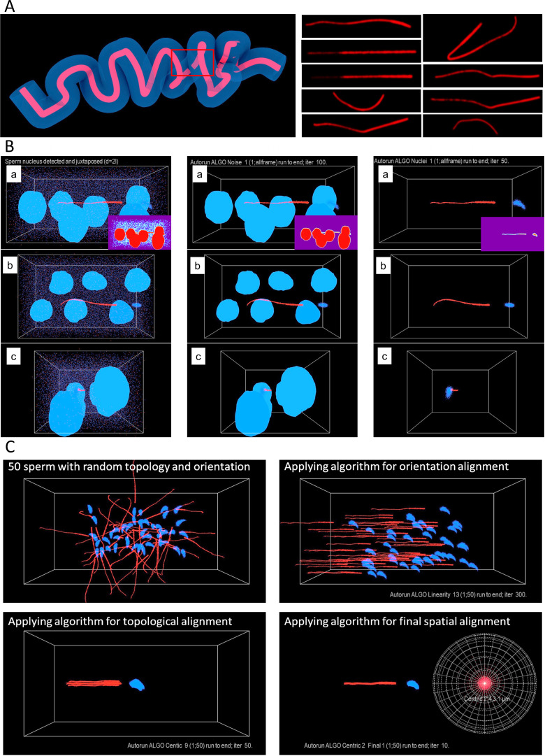 Figure 5—figure supplement 3.