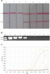 Figure 3