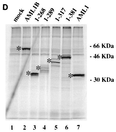 FIG. 5