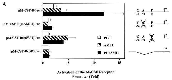 FIG. 5