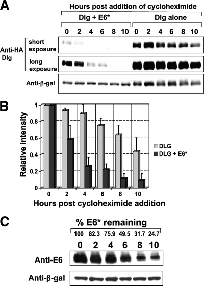 FIG. 8.