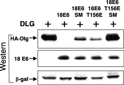 FIG. 11.