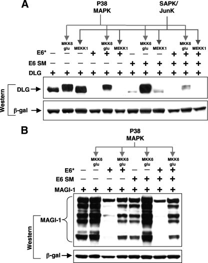 FIG. 10.