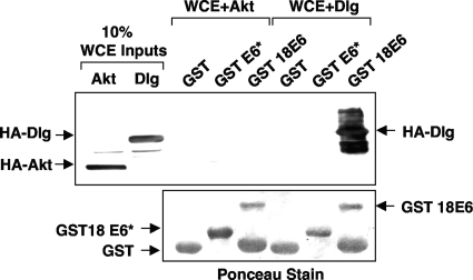 FIG. 9.