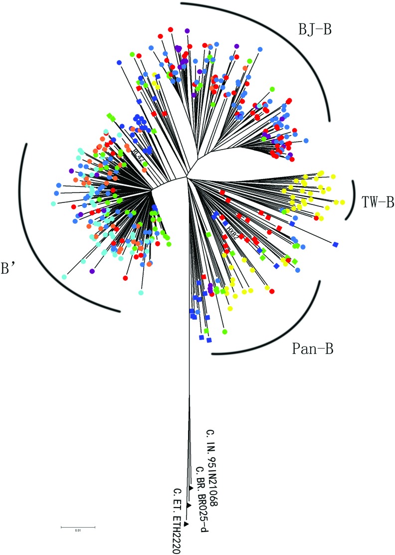 FIG. 1.