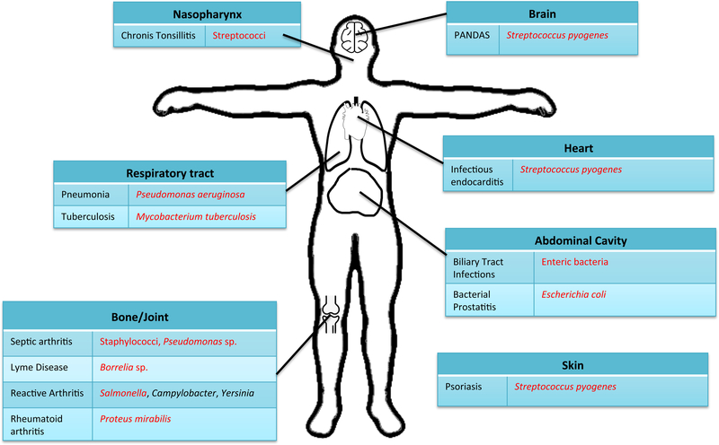 Figure 1: