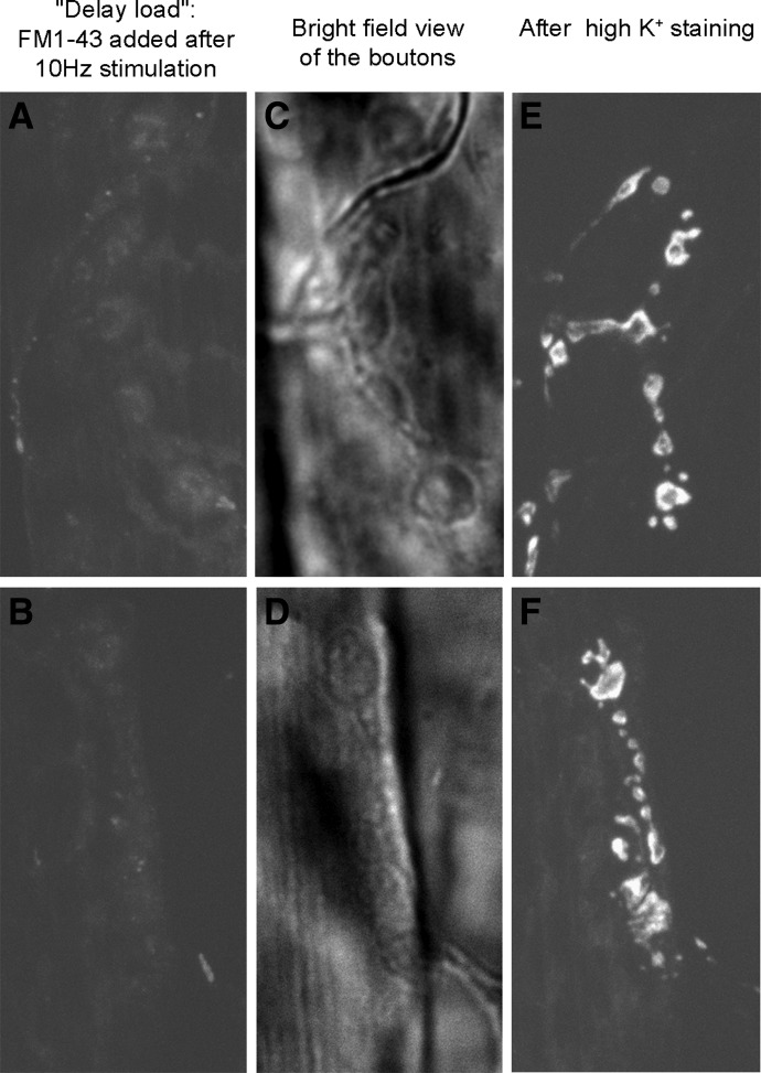 FIG. 8.