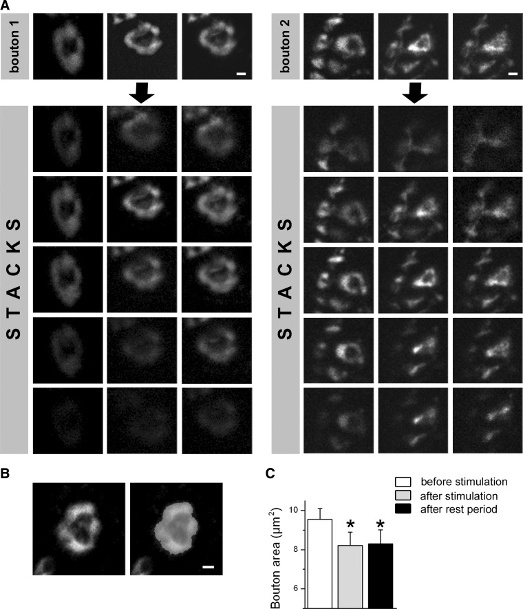 FIG. 6.