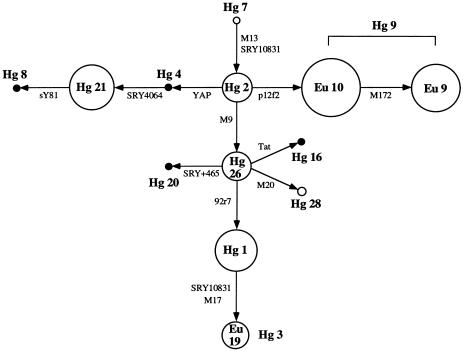 Figure  1