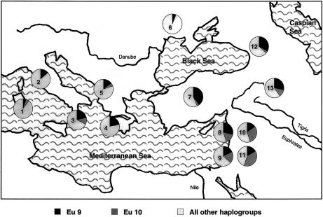 Figure  6