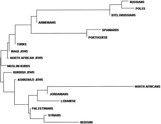 Figure  4