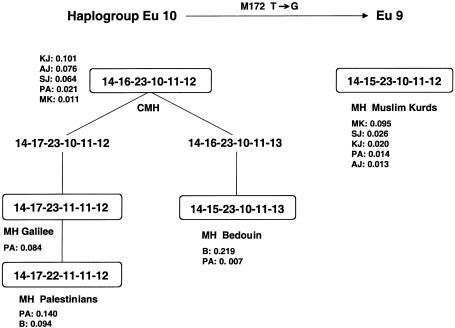 Figure  3