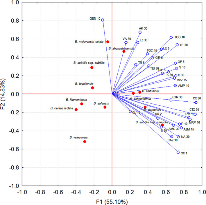 FIGURE 1